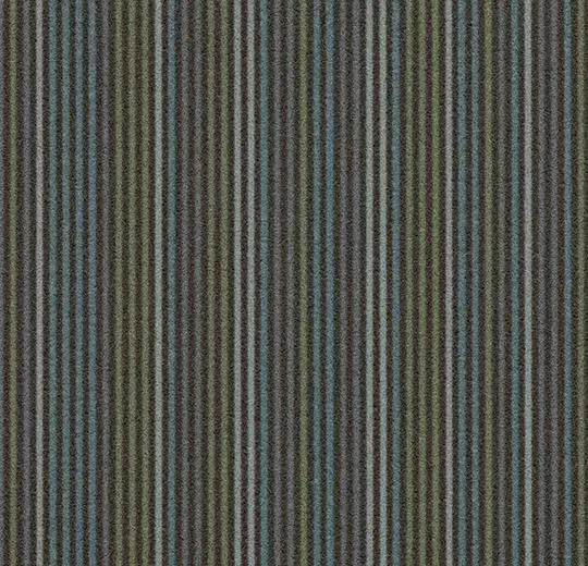 t550003 Complexity charcoal